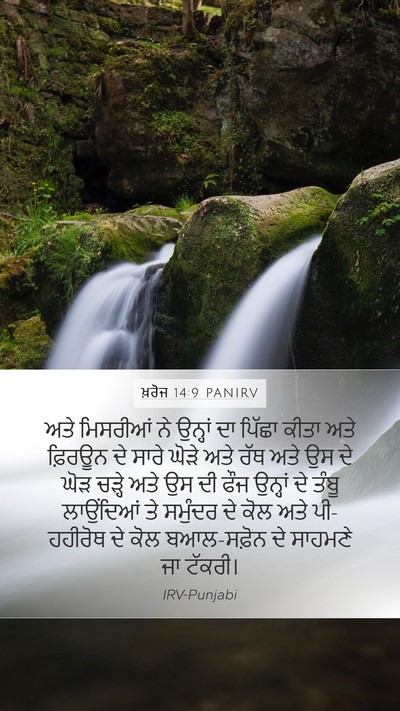 ਖ਼ਰੋਜ 14:9 PANIRV Bible Verse Image