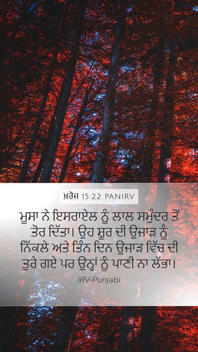 ਖ਼ਰੋਜ 15:22 PANIRV Bible Verse Image