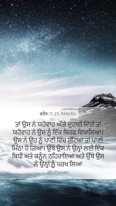 ਖ਼ਰੋਜ 15:25 PANIRV Bible Verse Image
