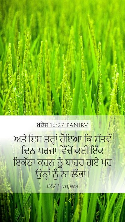 ਖ਼ਰੋਜ 16:27 PANIRV Bible Verse Image
