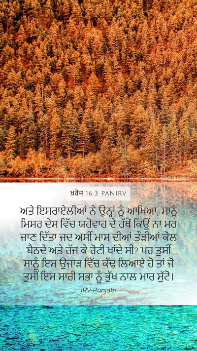 ਖ਼ਰੋਜ 16:3 PANIRV Bible Verse Image