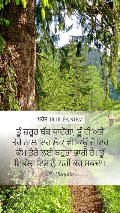 ਖ਼ਰੋਜ 18:18 PANIRV Bible Verse Image