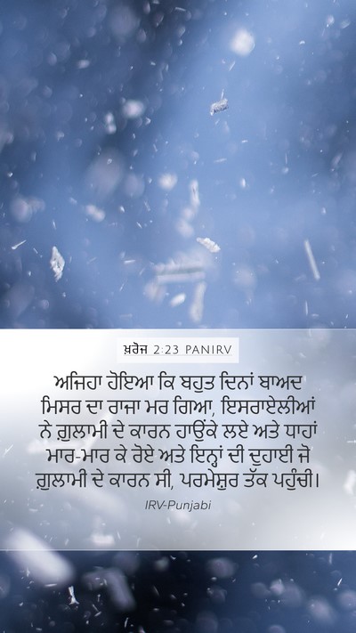 ਖ਼ਰੋਜ 2:23 PANIRV Bible Verse Image