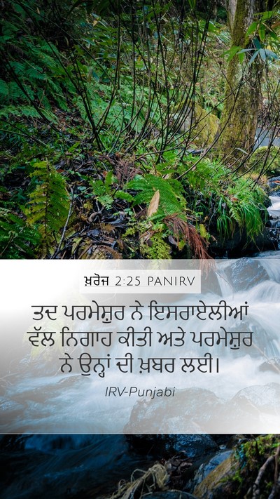 ਖ਼ਰੋਜ 2:25 PANIRV Bible Verse Image