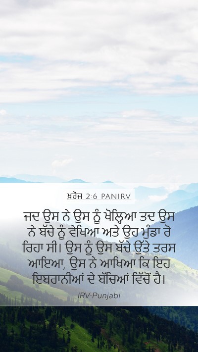 ਖ਼ਰੋਜ 2:6 PANIRV Bible Verse Image