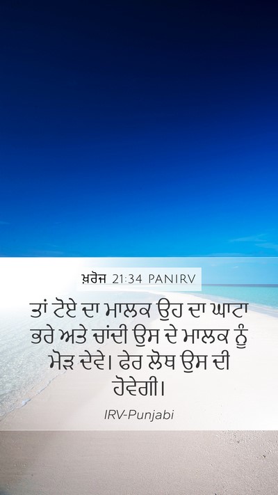 ਖ਼ਰੋਜ 21:34 PANIRV Bible Verse Image