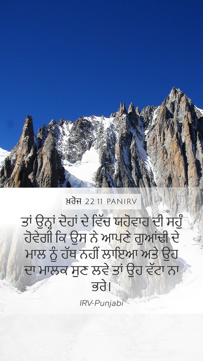 ਖ਼ਰੋਜ 22:11 PANIRV Bible Verse Image