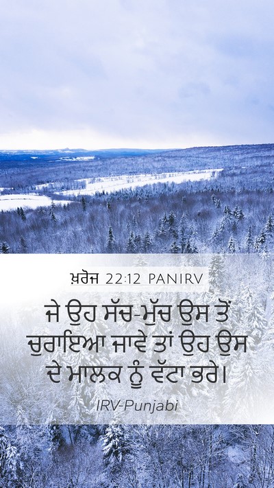 ਖ਼ਰੋਜ 22:12 PANIRV Bible Verse Image