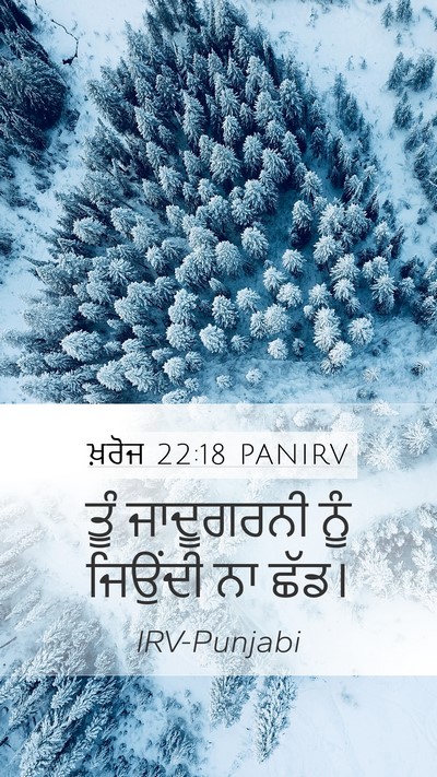 ਖ਼ਰੋਜ 22:18 PANIRV Bible Verse Image