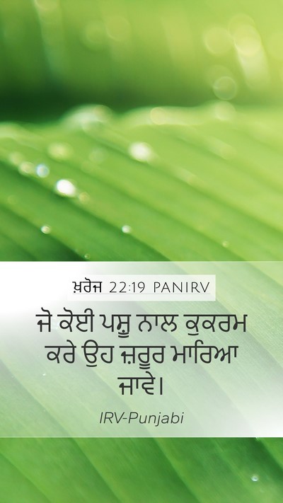 ਖ਼ਰੋਜ 22:19 PANIRV Bible Verse Image