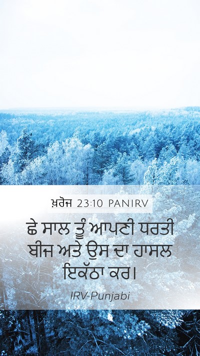 ਖ਼ਰੋਜ 23:10 PANIRV Bible Verse Image