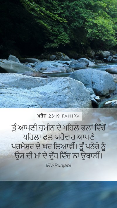 ਖ਼ਰੋਜ 23:19 PANIRV Bible Verse Image