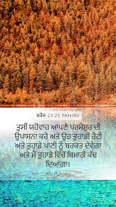 ਖ਼ਰੋਜ 23:25 PANIRV Bible Verse Image