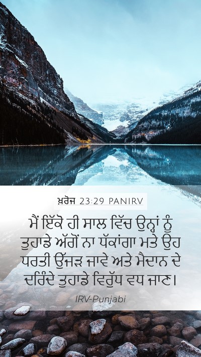 ਖ਼ਰੋਜ 23:29 PANIRV Bible Verse Image