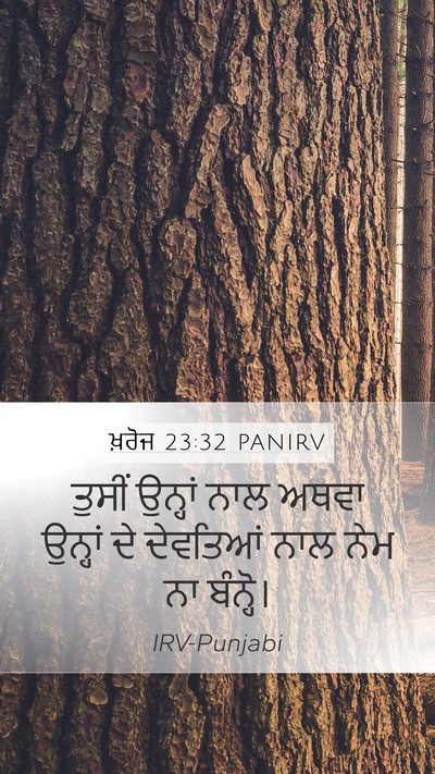 ਖ਼ਰੋਜ 23:32 PANIRV Bible Verse Image