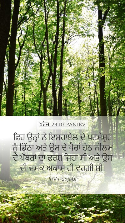 ਖ਼ਰੋਜ 24:10 PANIRV Bible Verse Image