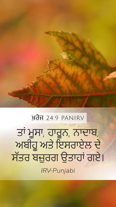 ਖ਼ਰੋਜ 24:9 PANIRV Bible Verse Image