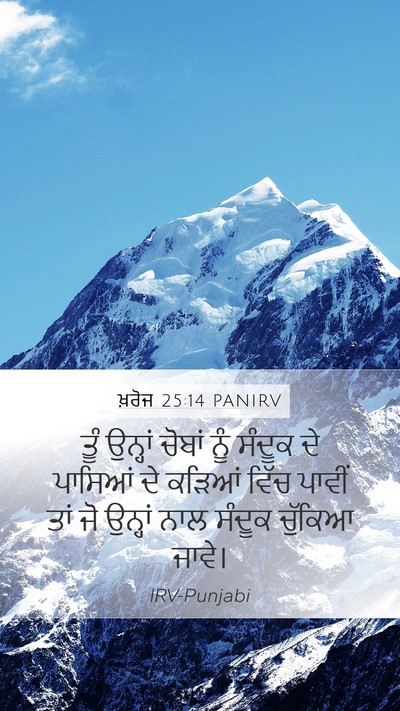 ਖ਼ਰੋਜ 25:14 PANIRV Bible Verse Image
