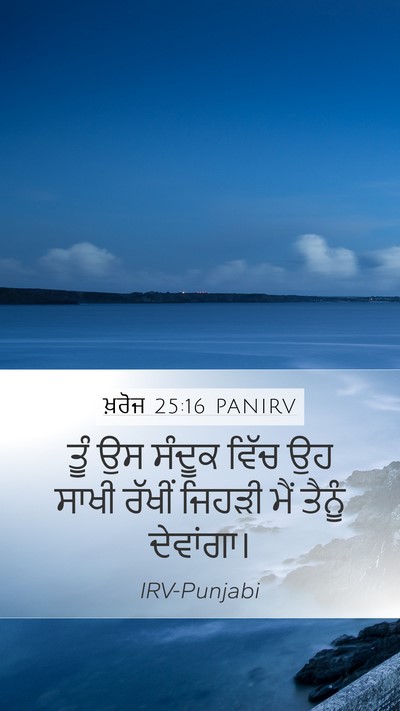 ਖ਼ਰੋਜ 25:16 PANIRV Bible Verse Image