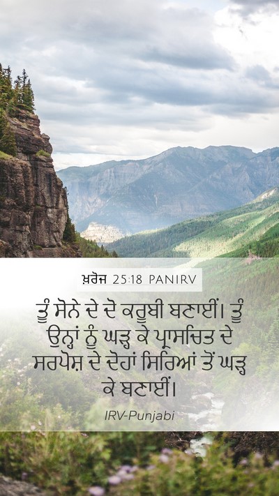 ਖ਼ਰੋਜ 25:18 PANIRV Bible Verse Image