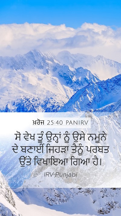ਖ਼ਰੋਜ 25:40 PANIRV Bible Verse Image