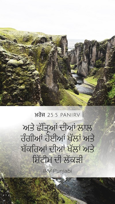 ਖ਼ਰੋਜ 25:5 PANIRV Bible Verse Image