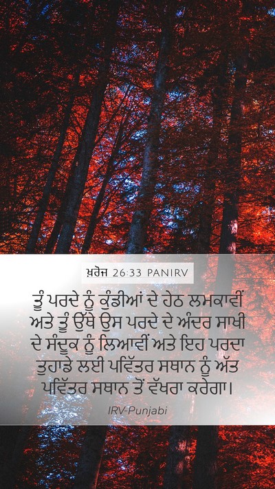 ਖ਼ਰੋਜ 26:33 PANIRV Bible Verse Image