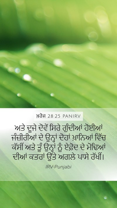 ਖ਼ਰੋਜ 28:25 PANIRV Bible Verse Image