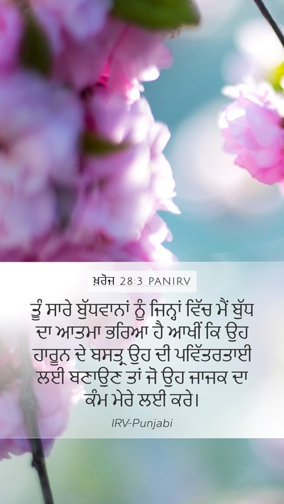 ਖ਼ਰੋਜ 28:3 PANIRV Bible Verse Image