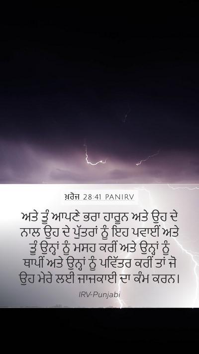 ਖ਼ਰੋਜ 28:41 PANIRV Bible Verse Image