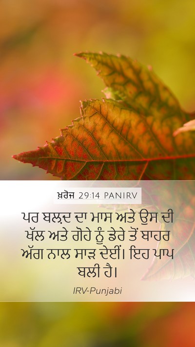 ਖ਼ਰੋਜ 29:14 PANIRV Bible Verse Image