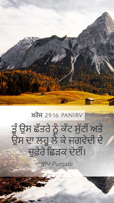ਖ਼ਰੋਜ 29:16 PANIRV Bible Verse Image