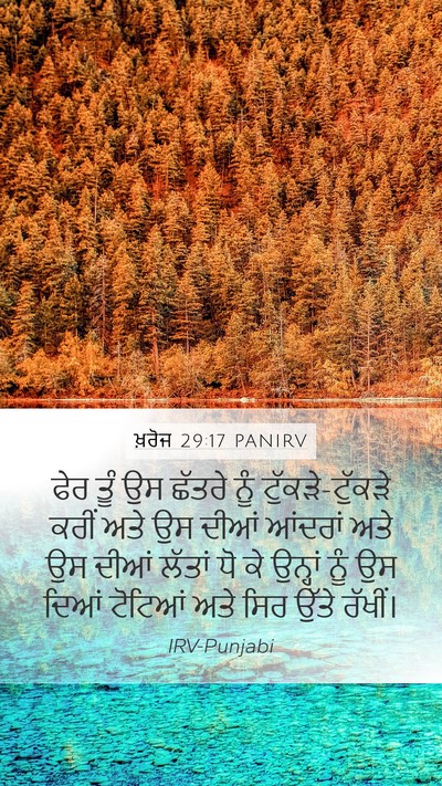 ਖ਼ਰੋਜ 29:17 PANIRV Bible Verse Image