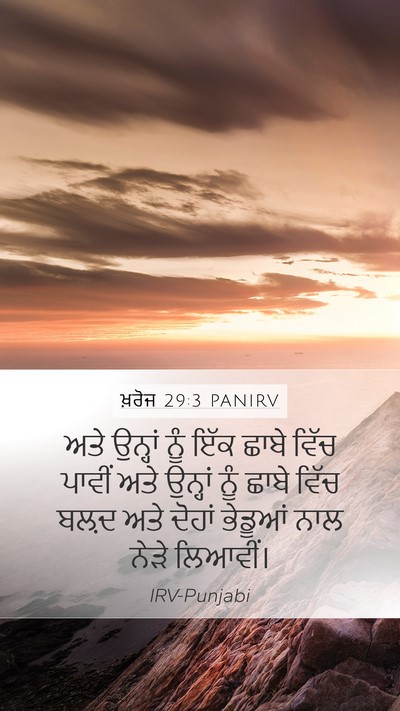 ਖ਼ਰੋਜ 29:3 PANIRV Bible Verse Image