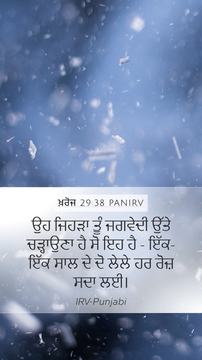 ਖ਼ਰੋਜ 29:38 PANIRV Bible Verse Image