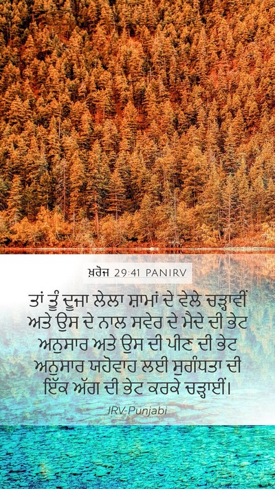 ਖ਼ਰੋਜ 29:41 PANIRV Bible Verse Image