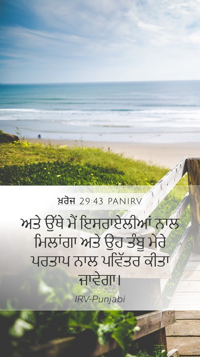 ਖ਼ਰੋਜ 29:43 PANIRV Bible Verse Image