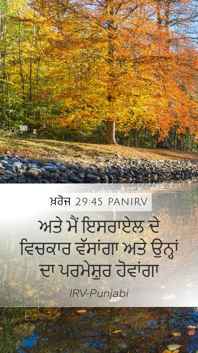 ਖ਼ਰੋਜ 29:45 PANIRV Bible Verse Image
