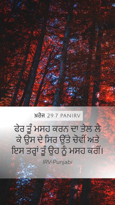 ਖ਼ਰੋਜ 29:7 PANIRV Bible Verse Image