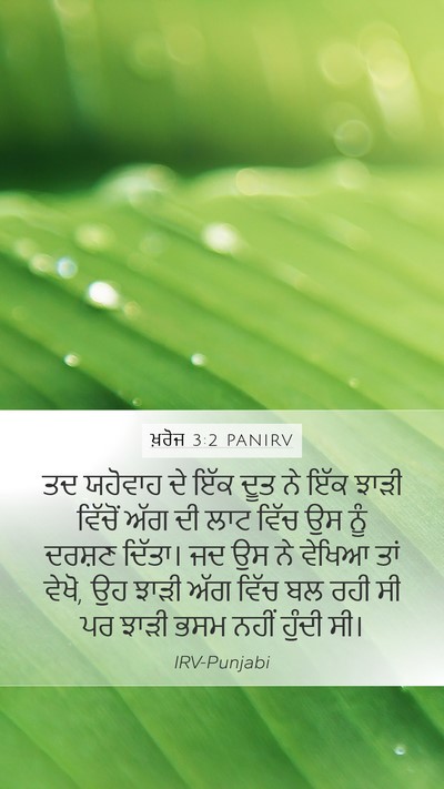 ਖ਼ਰੋਜ 3:2 PANIRV Bible Verse Image