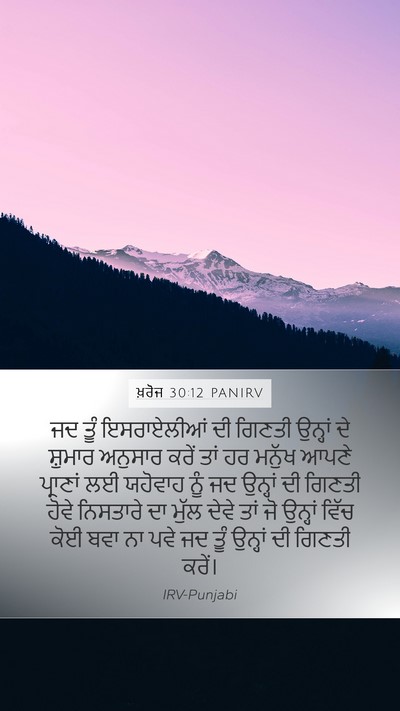 ਖ਼ਰੋਜ 30:12 PANIRV Bible Verse Image