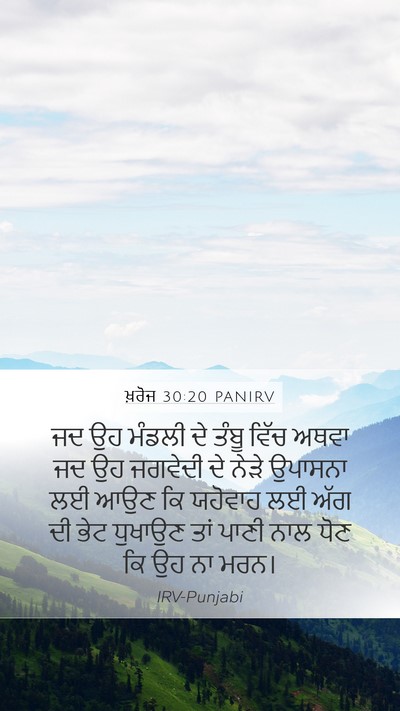 ਖ਼ਰੋਜ 30:20 PANIRV Bible Verse Image