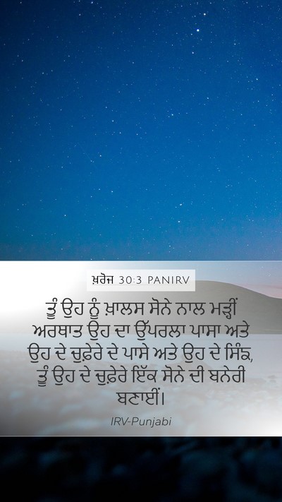 ਖ਼ਰੋਜ 30:3 PANIRV Bible Verse Image