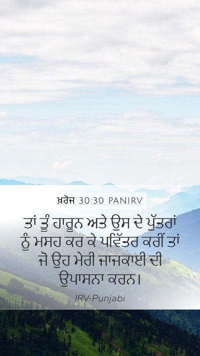 ਖ਼ਰੋਜ 30:30 PANIRV Bible Verse Image
