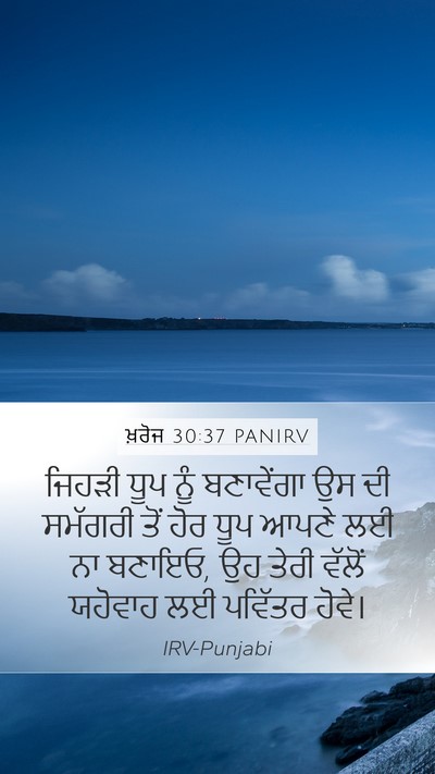 ਖ਼ਰੋਜ 30:37 PANIRV Bible Verse Image
