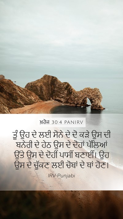ਖ਼ਰੋਜ 30:4 PANIRV Bible Verse Image