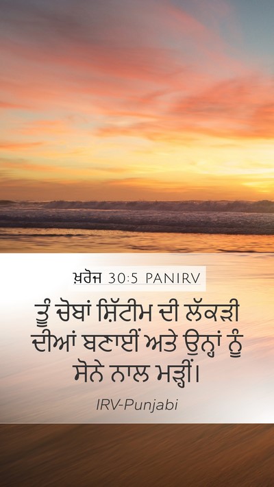 ਖ਼ਰੋਜ 30:5 PANIRV Bible Verse Image