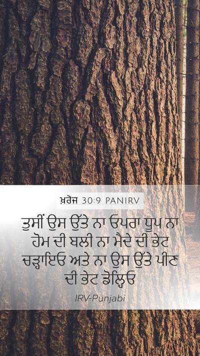 ਖ਼ਰੋਜ 30:9 PANIRV Bible Verse Image