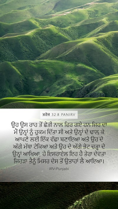 ਖ਼ਰੋਜ 32:8 PANIRV Bible Verse Image