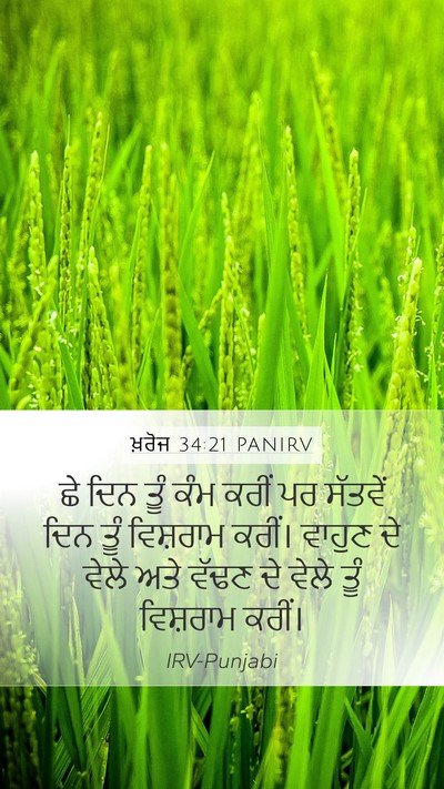 ਖ਼ਰੋਜ 34:21 PANIRV Bible Verse Image